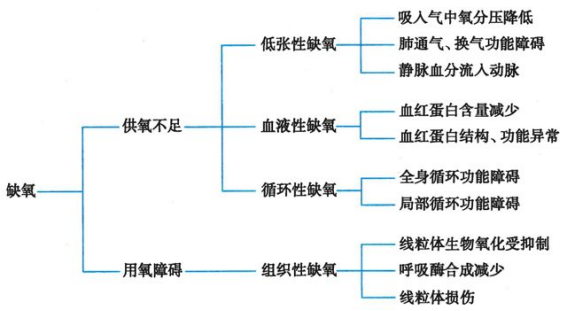 关于氧疗你要知道的要点